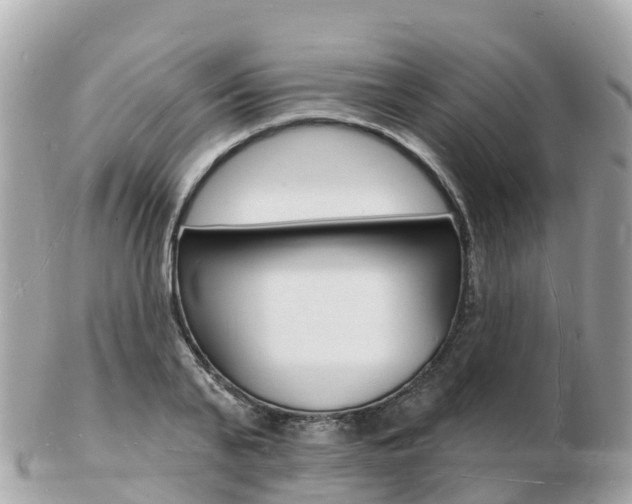 X0000103300791200808291129