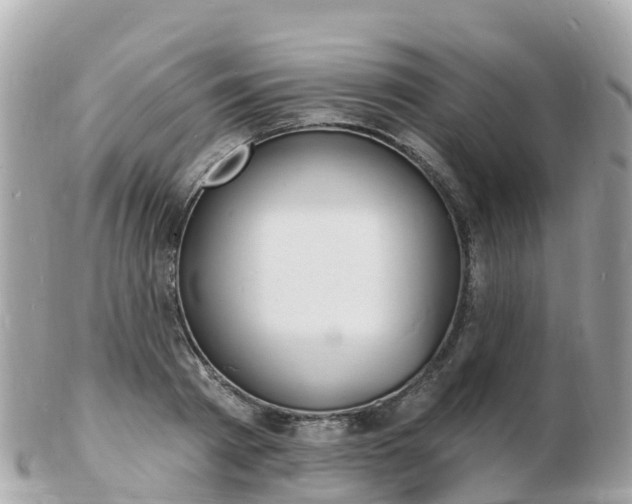 X0000103300793200808291129