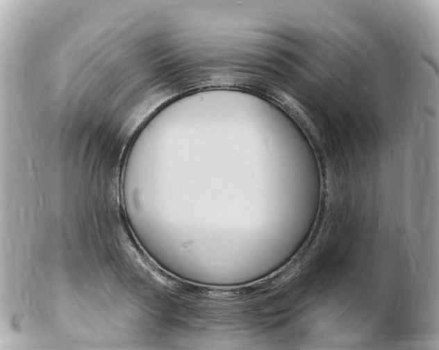X0000103300794200808291129