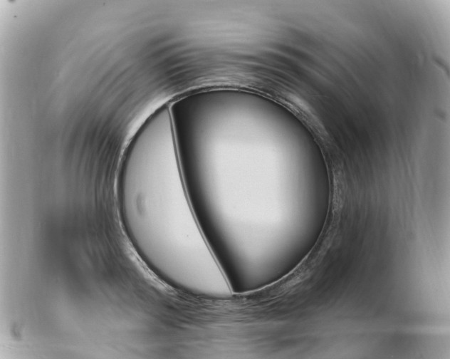 X0000103300796200808291129