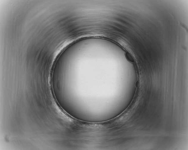 X0000103300797200808291129