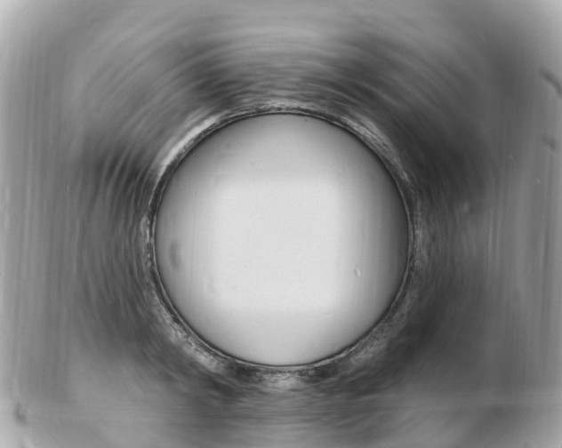X0000103300798200808291129