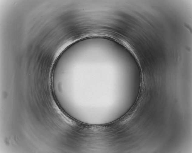 X0000103300803200808291129