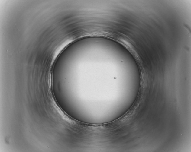 X0000103300804200808291129