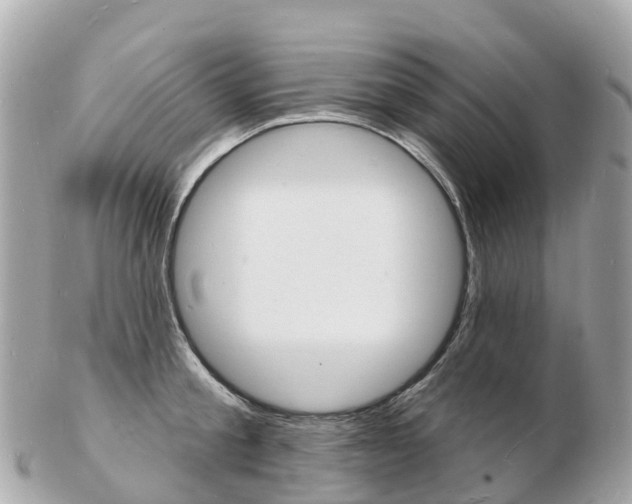 X0000103300805200808291129