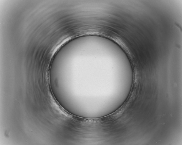 X0000103300806200808291129