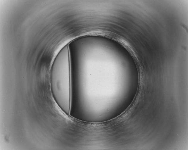 X0000103300808200808291129