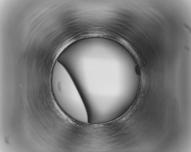 X0000103300810200808291129