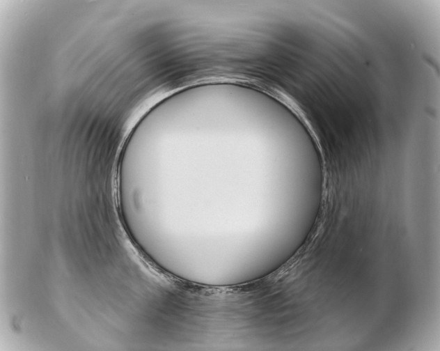X0000103300811200808291129