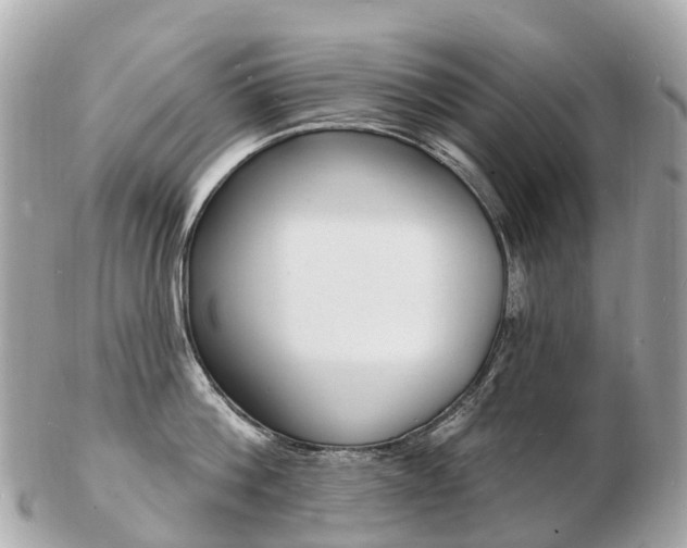 X0000103300812200808291129