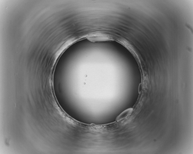 X0000103300813200808291129
