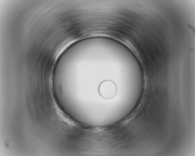 X0000103300814200808291129