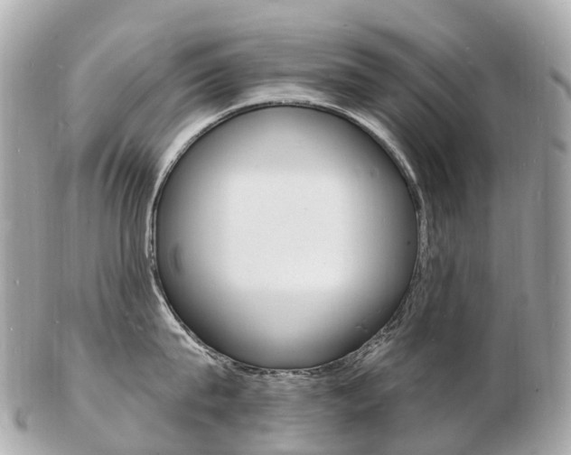 X0000103300815200808291129