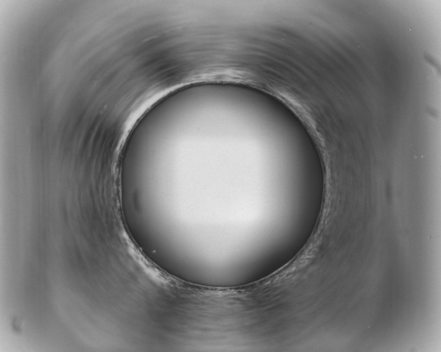 X0000103300816200808291129