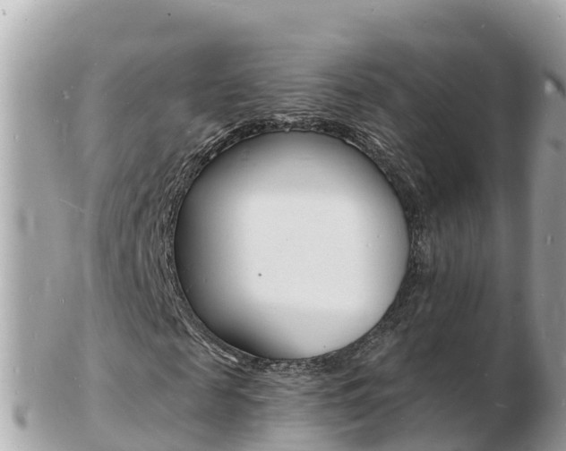 X0000103300817200808291128