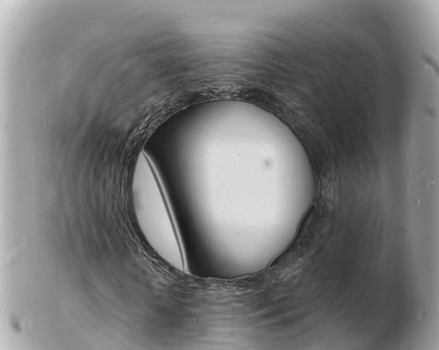 X0000103300818200808291128