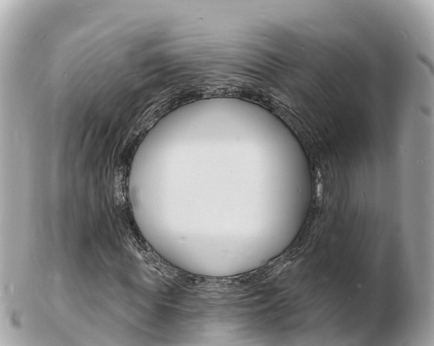 X0000103300819200808291128