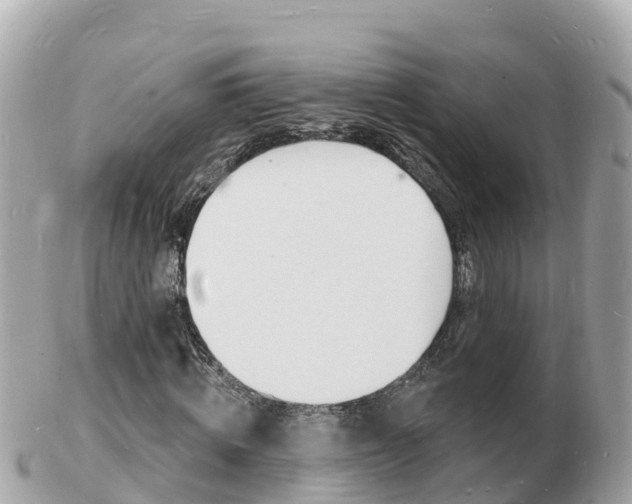 X0000103300820200808291128