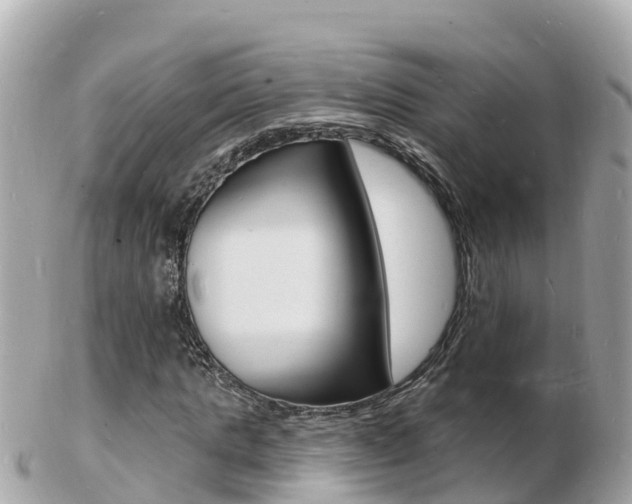 X0000103300821200808291128