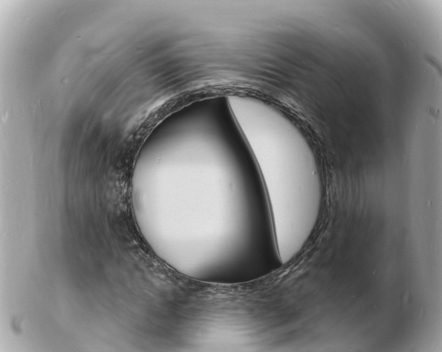 X0000103300822200808291128