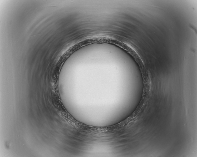 X0000103300823200808291128
