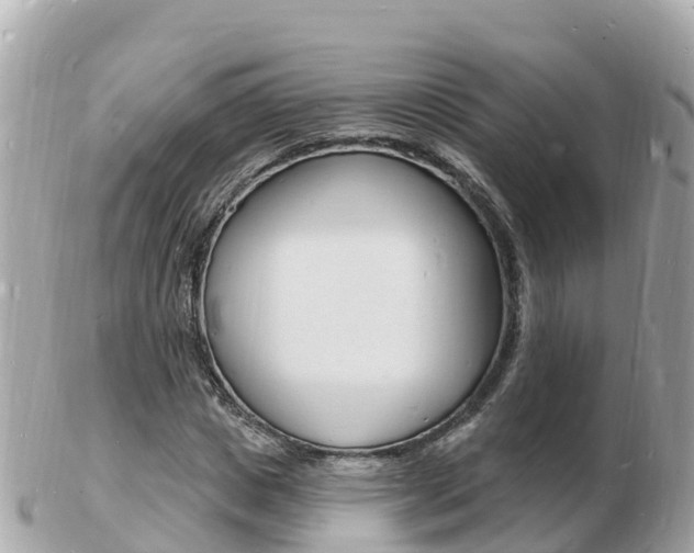 X0000103300825200808291128