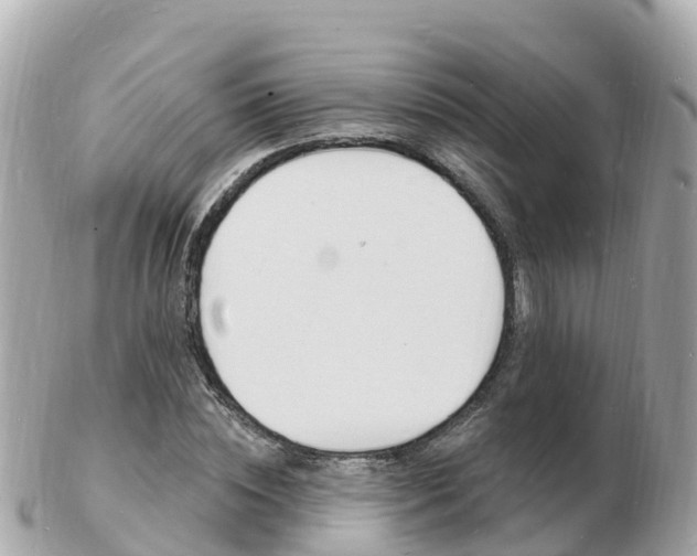X0000103300828200808291128