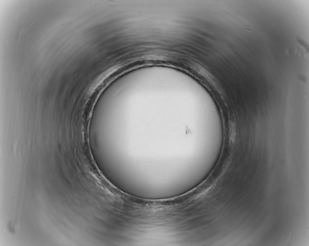 X0000103300829200808291129