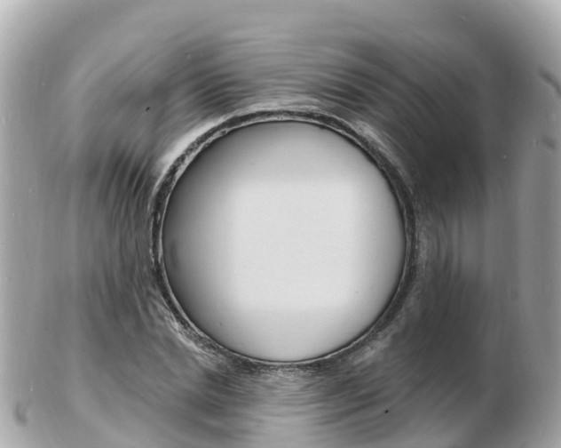 X0000103300830200808291129