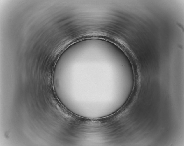 X0000103300833200808291129