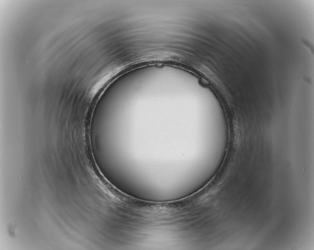 X0000103300834200808291129