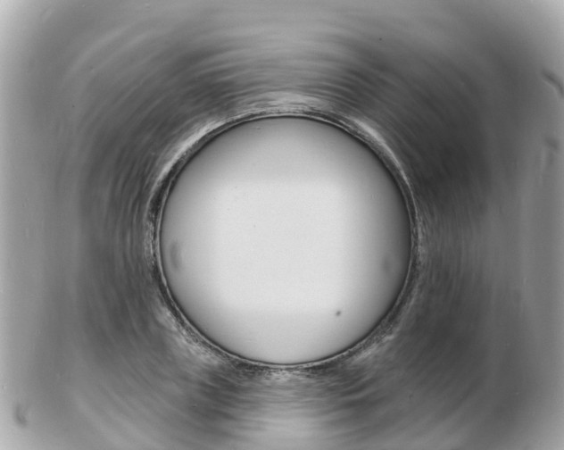 X0000103300835200808291129
