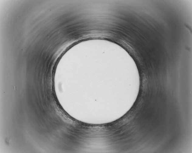 X0000103300836200808291129