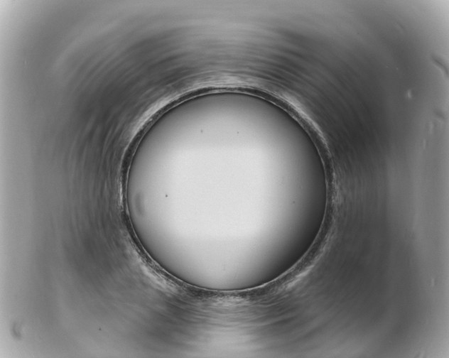 X0000103300837200808291129