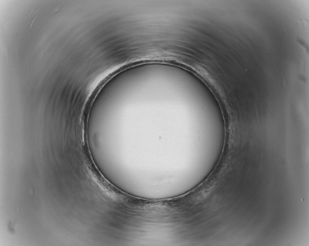 X0000103300838200808291129