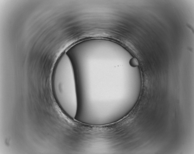 X0000103300840200808291129