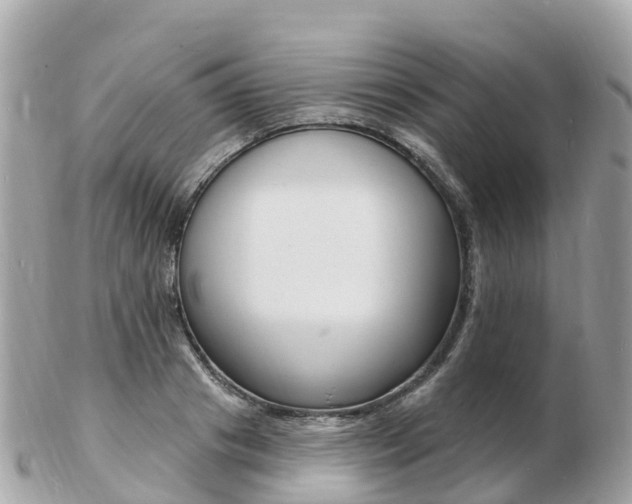 X0000103300841200808291129
