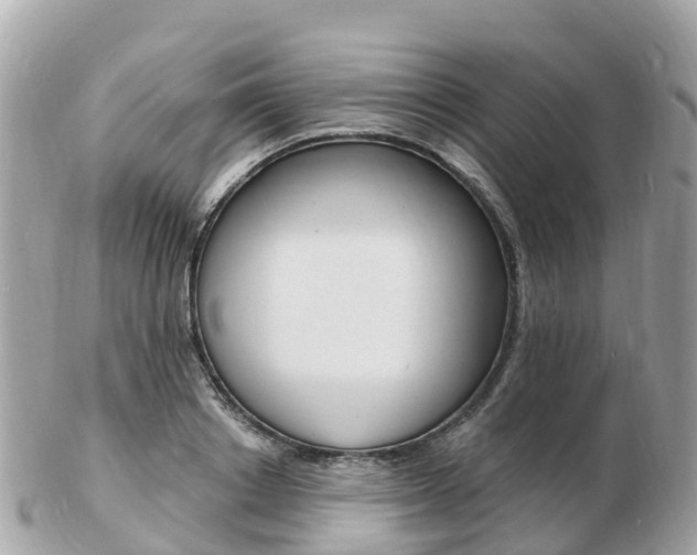 X0000103300842200808291129