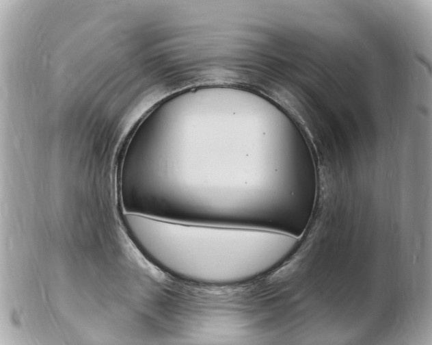 X0000103300843200808291129
