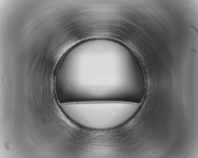 X0000103300846200808291129
