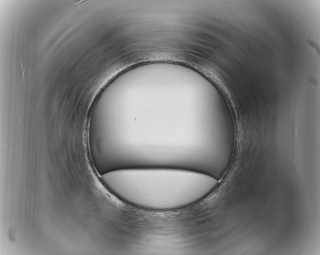 X0000103300847200808291129