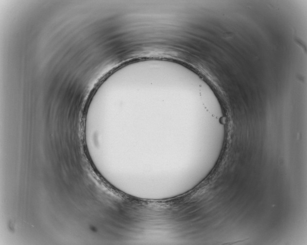 X0000103300848200808291129