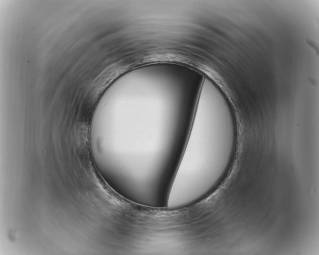 X0000103300849200808291129