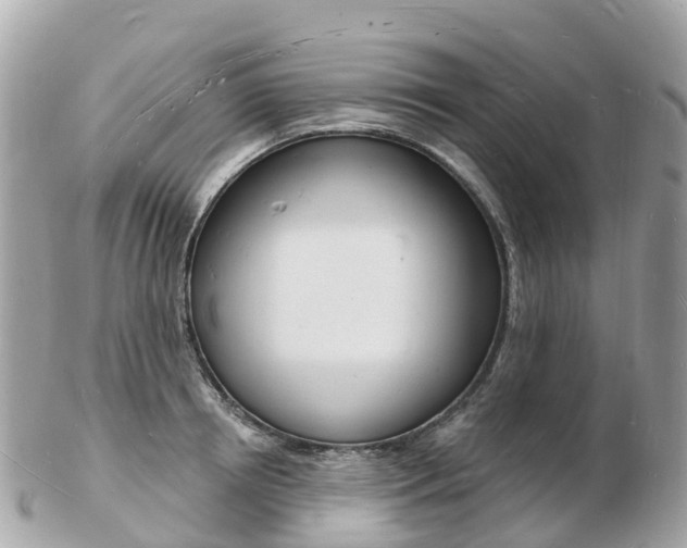 X0000103300850200808291129