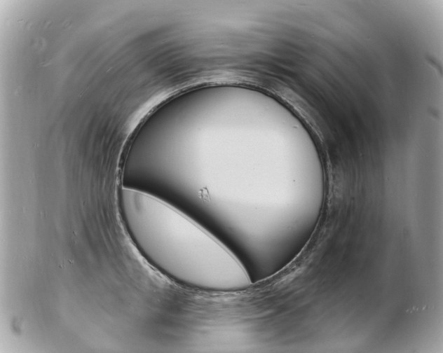 X0000103300853200808291129