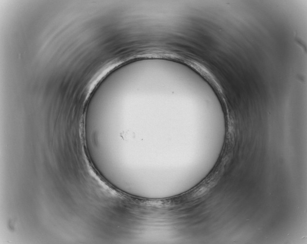X0000103300855200808291129