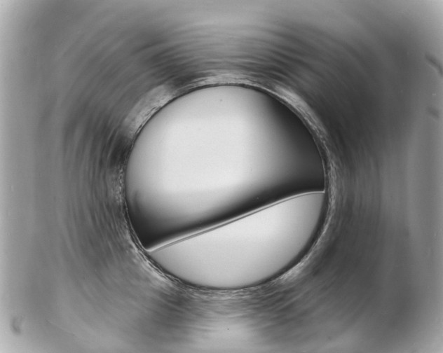 X0000103300857200808291129