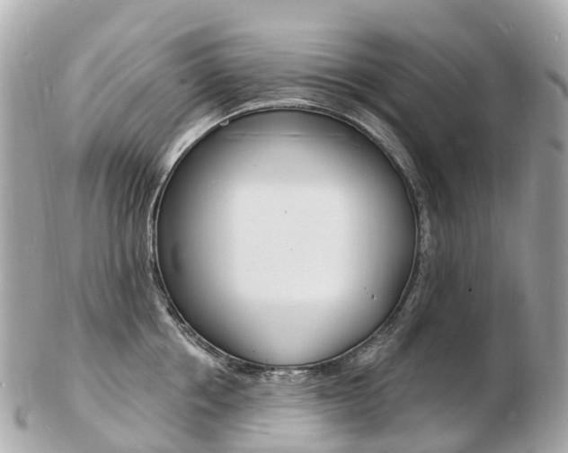 X0000103300858200808291129
