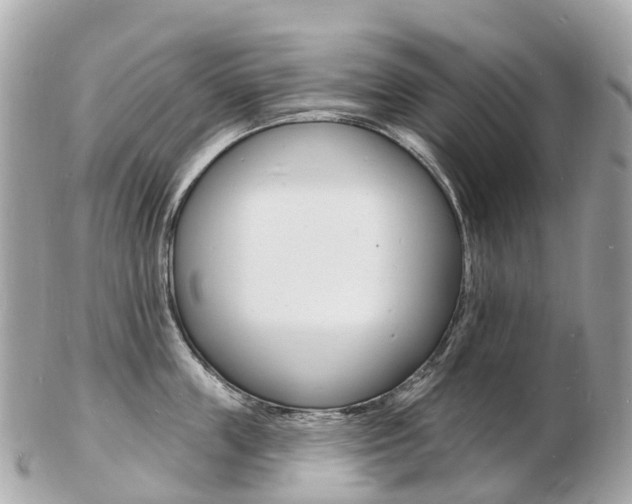 X0000103300859200808291129