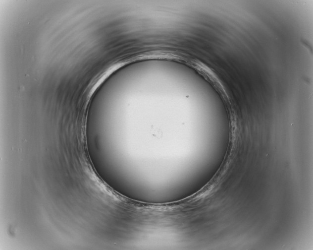 X0000103300860200808291129
